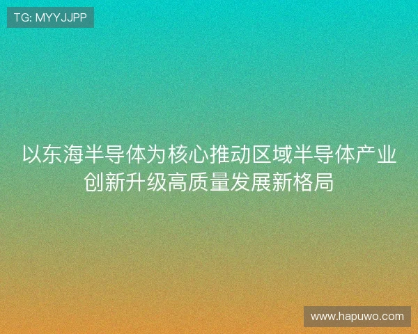 以东海半导体为核心推动区域半导体产业创新升级高质量发展新格局